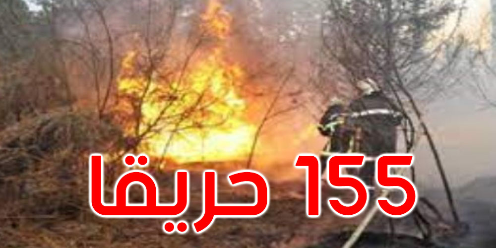 خلال 36 ساعة الأخيرة: اندلاع 155 حريقا من بينها 12 حريقا غابيا 