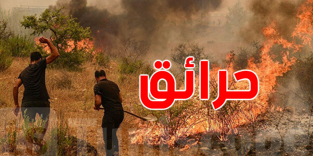 عاجل : من بنزرت...تفعيل المخطط الأخضر لإخماد حريق غابات غار الملح