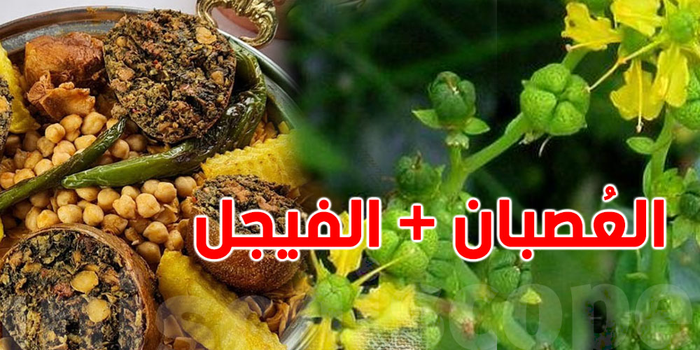 علاش نبتة ''الفيجل'' الي في العصبان تنجم تكون سبب تسمم العائلة بالمكناسي؟