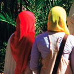 Les deux filles portées disparues à Béja retrouvées à Tunis