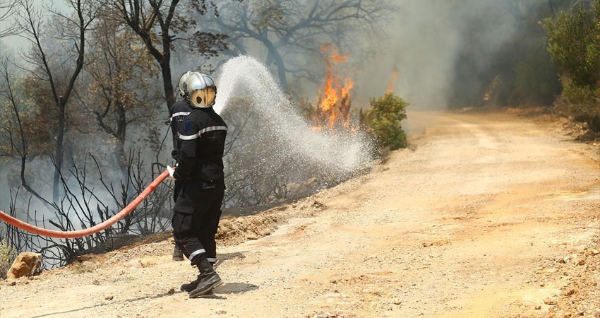 تسجيل 552 حريقا في المساحات الزراعية خلال ثمانية أيام
