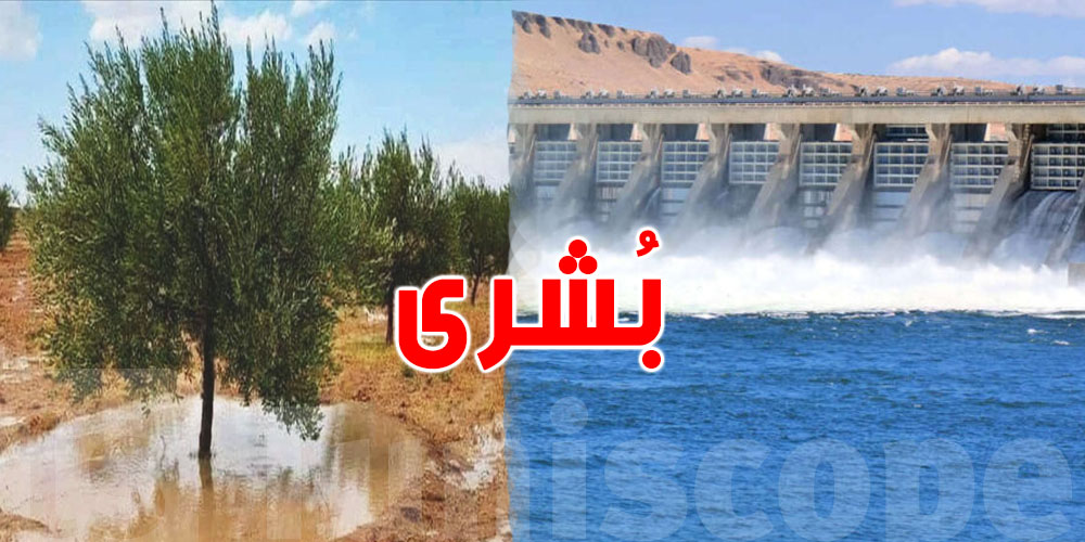 سدود وبُحيرات تمتلئ… ماذا يعني هذا للمزارعين والأسعار؟