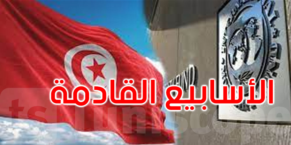 صندوق النقد يؤكد استعداده لبدء المفاوضات مع تونس خلال أسابيع