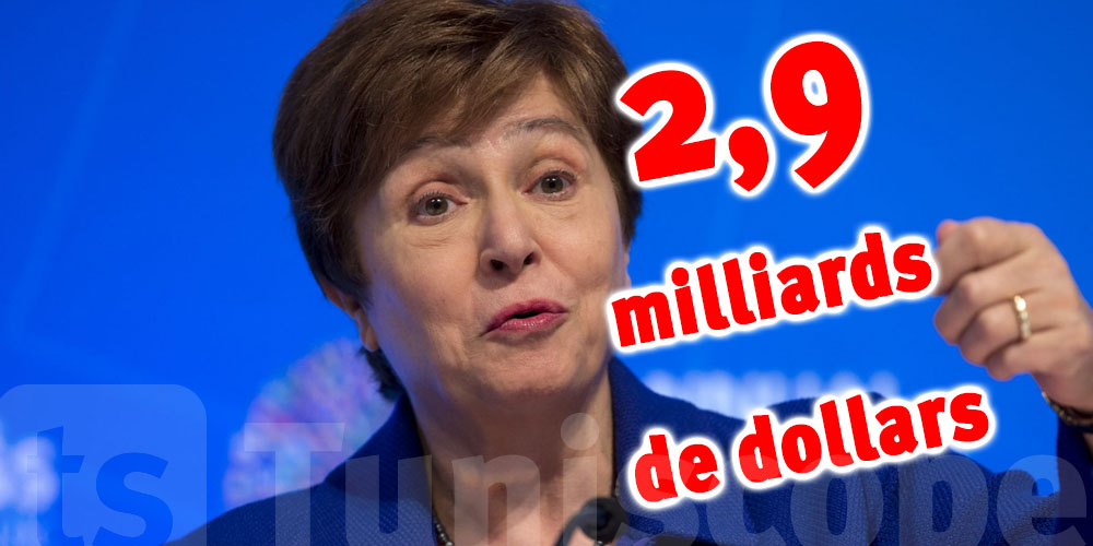 Le FMI annonce avoir validé le plan d'aide de 2,9 milliards de dollars pour ce pays