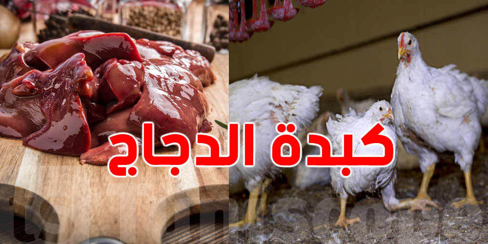 هام-قبل رمضان: سوم ''كبدة الدجاج'' طالع