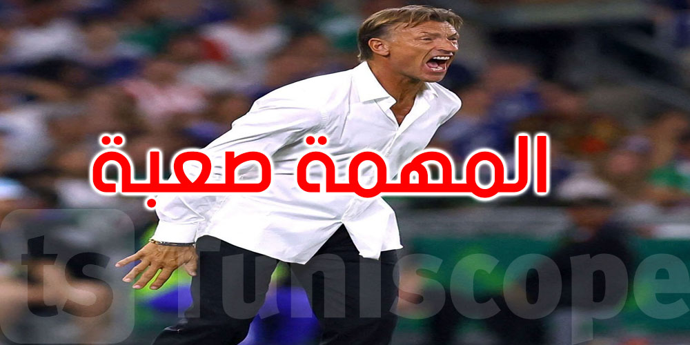 قبل مواجهة هولندا.. رونار يعترف: المهمة صعبة لكن لا بدّ من المحاولة