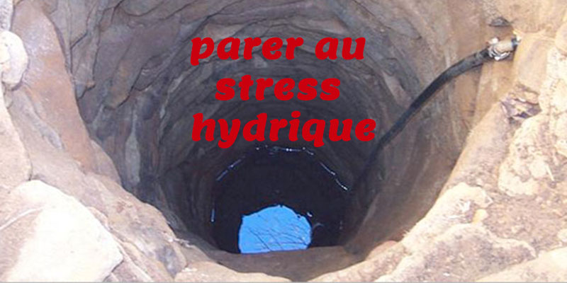 Les sept mesures phares pour parer au stress hydrique