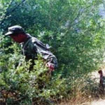 Un garde forestier blessé par balle à Tajerouine