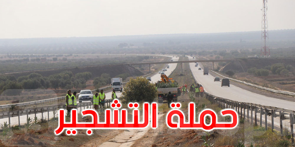 انطلاق برنامج تشجير 4000 شجرة بالطرقات السيارة