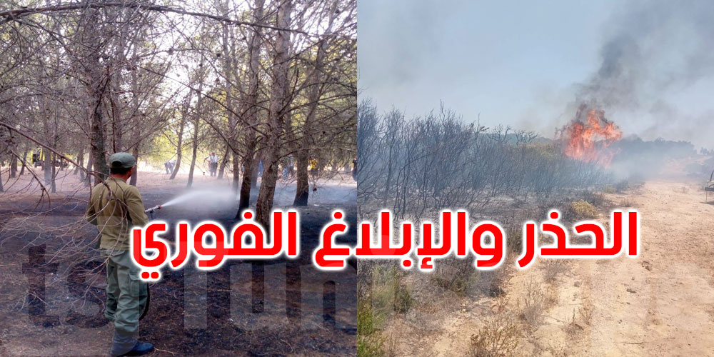 الثروة الغابية تحت التهديد بسبب موجة الحر.. تنسيق ميداني ويقظة متواصلة