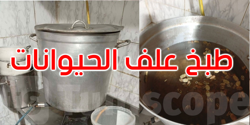 جربة: حجز 1650 كغ من علف الحيوانات غير المخصص للاستهلاك بمحل مفتوح للعموم