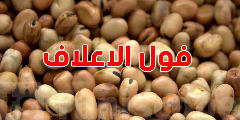 صادم-فضيحة غذائية تهز جربة: فول الأعلاف يصل إلى موائد المواطنين!