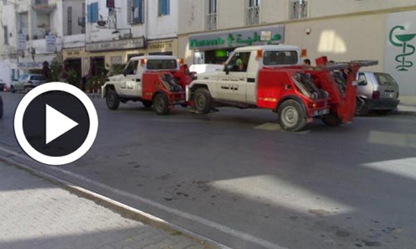 En vidéo : Quand la fourrière devient un secteur très promoteur en Tunisie