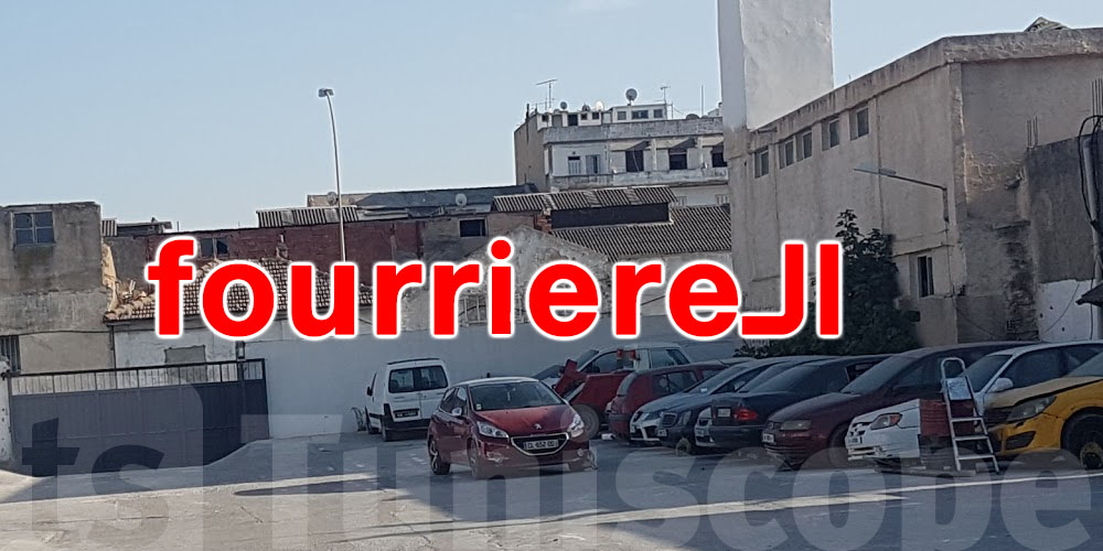 يهمّك تعرّف: شنّوة الحاجات الجديدة الي باش تتطبق في الـfourrière