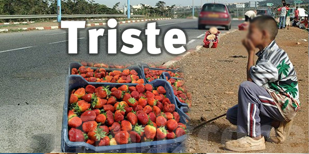 Tunisie : Un enfant qui vend des fraises décède dans un accident de la route 