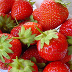 Nabeul : Les premières fraises arrivent ! 