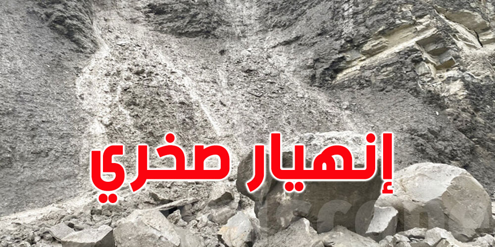 بالفيديو: شاهد الانهيار الصخري بين فرنسا وإيطاليا