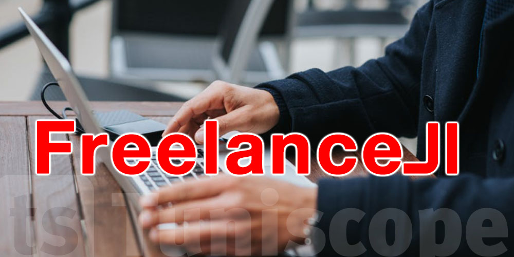 عاجل : خبر سار للتوانسة الـ Freelances …دولة أوروبية تطلق تأشيرة خاصة