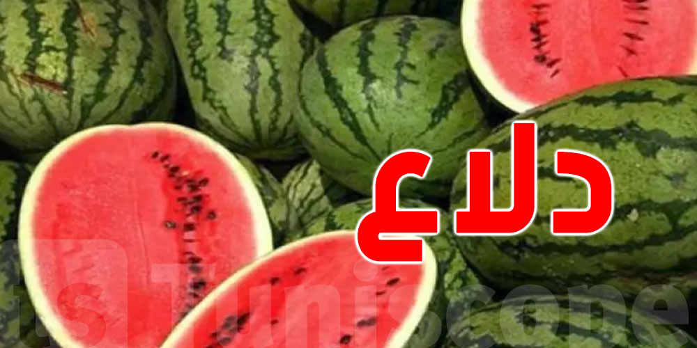 الدلاع و التسمم ؟...اتحاد الفلاحة بسيدي بوزيد يوضح للتوانسة