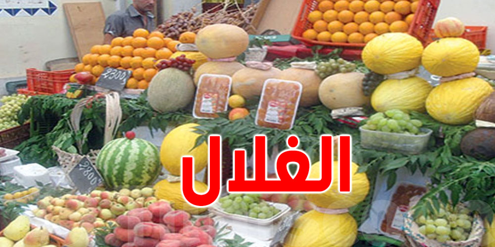 اخصائية في التغذية: كمية الماء في ''الدلاع والبطيخ والهندي'' تصل إلى 90%