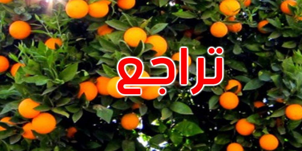 حتى 4 أفريل الجاري: تراجع تصدير القوارص بنسبة 24.8 بالمائة