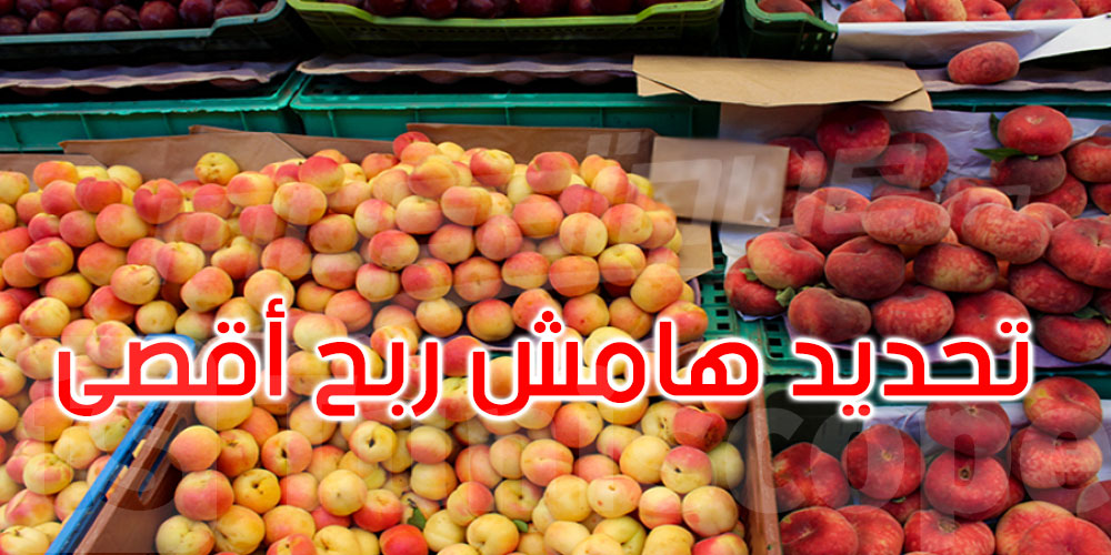 وزارة التجارة تقرر تحديد هامش ربح أقصى لتوزيع الغلال بالتفصيل