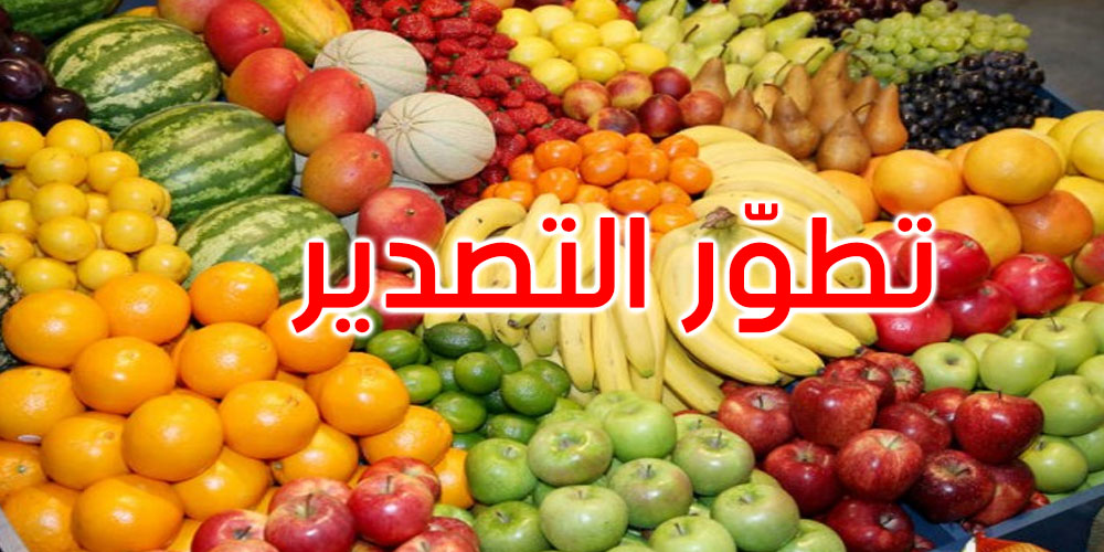 حتى نهاية ديسمبر الماضي: تطور تصدير الغلال بحوالي 34634 طن
