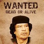 Le Conseil national de transition a promis une amnistie à quiconque arrêtera ou tuera Mouammar Kadhafi