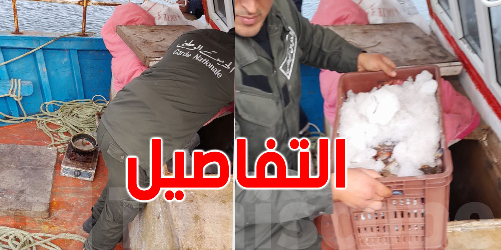 الحرس الوطني يُحبط عمليات صيد عشوائي بهذه المناطق