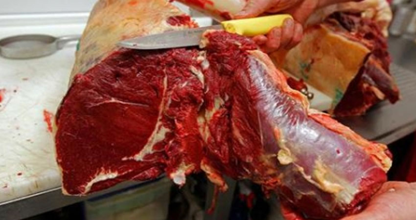 القصرين: حجز 24 كغ من اللحوم الحمراء غير صالحة للاستهلاك