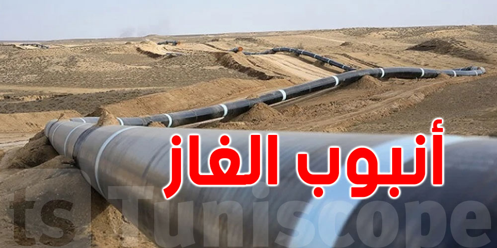 بنزرت: تشغيل أنبوب الغاز المعدّ لتزويد الجهة بالغاز الطبيعي