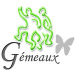 Horoscope 2010 Gémeaux