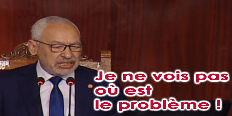 Ghannouchi s’exprime au sujet de sa rencontre avec Erdogan