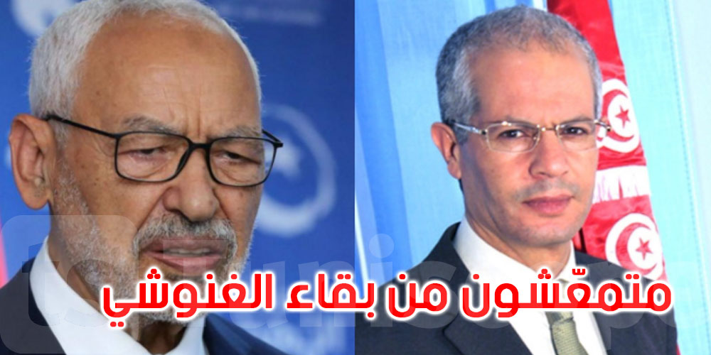 بالفيديو: عماد الحمامي: هناك قيادات في النهضة متمعّشة مادّيا من بقاء الغنوشي على رأس الحركة