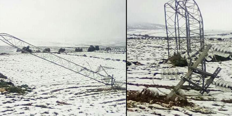 بسبب الثلوج والرياح: سقوط عدد كبير من الأعمدة الكهربائية 
