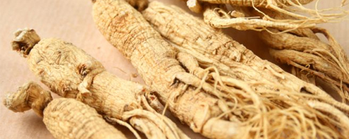 ginseng-08012013-1.jpg