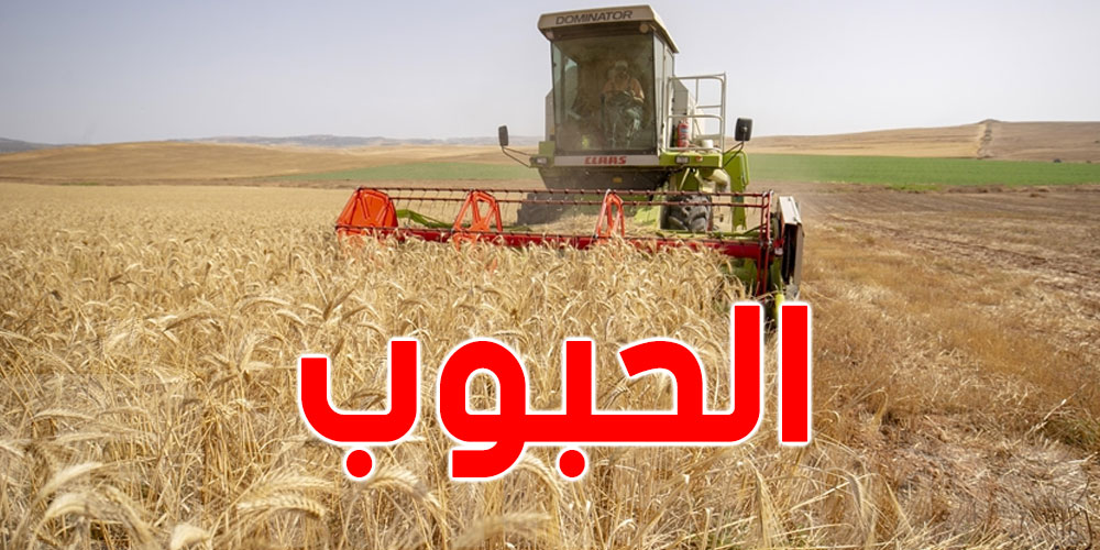 موسم حبوب واعد في منزل تميم وتثبيت تسعيرة التجميع