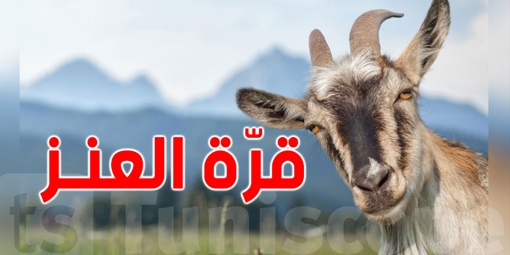 ''قرة العنز'' وقتاش توفى؟