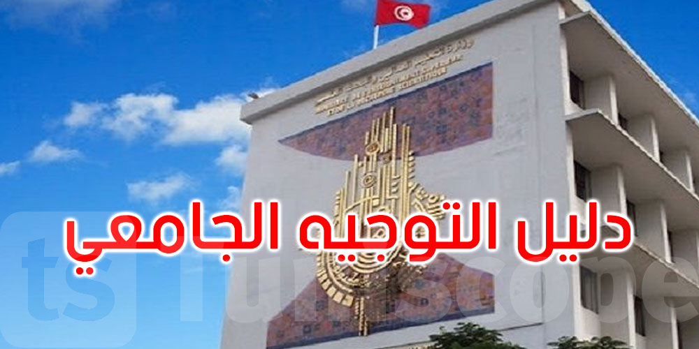 بكالوريا 2025: وزارة التعليم العالي تنشر رزنامة عمليات التوجيه الجامعي الخاصة بالناجحين