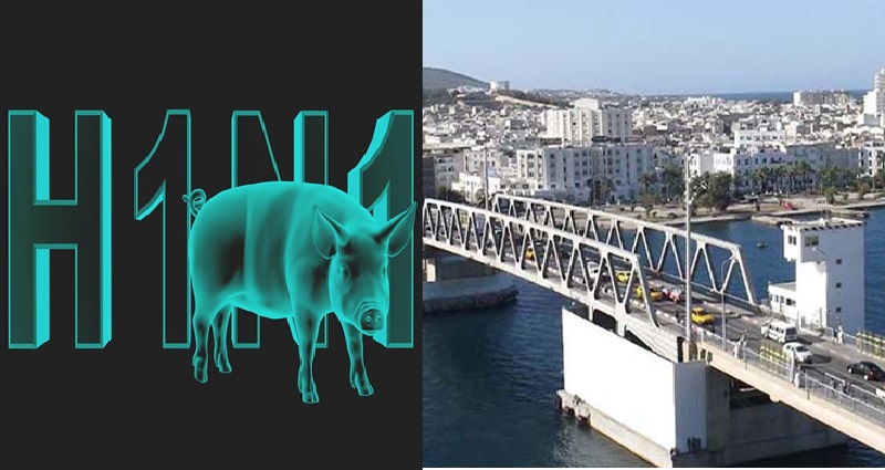 Sinistre ravage à Bizerte : le virus H1N1 tue de nouveau