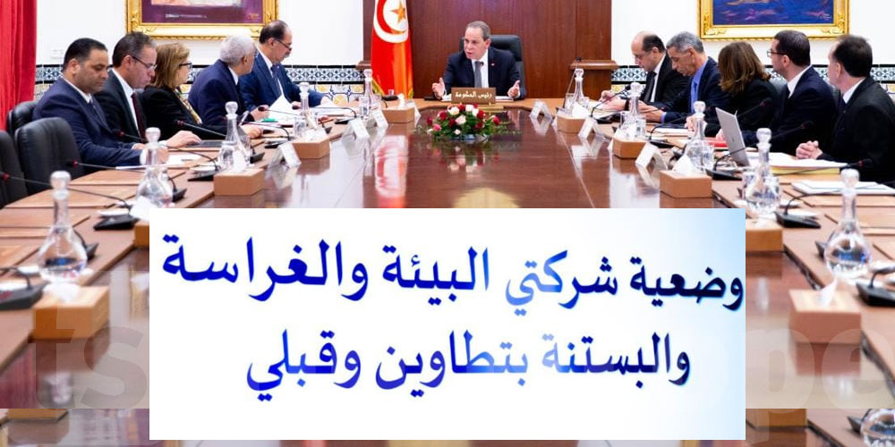 رئيس الحكومة يتابع وضعية شركتي البيئة والغراسة والبستنة بولايتي تطاوين وقبلي