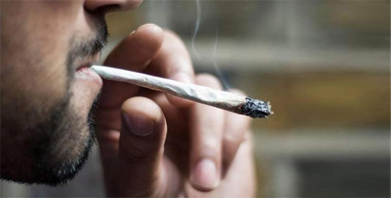 كندا: مطلوب 5 متذوقين للحشيش مقابل سعر مغري