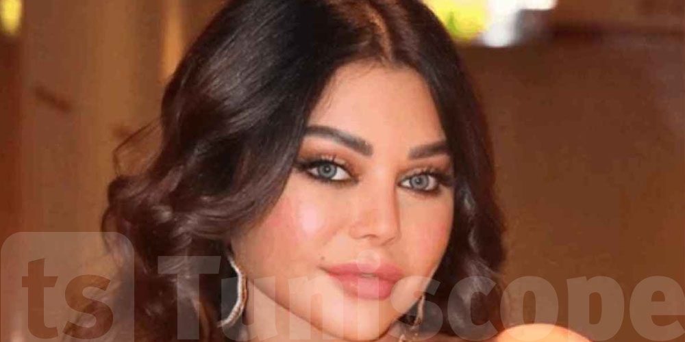 أموال بالملايين وعقارات فاخرة… تفاصيل تفجّر قضية مدير أعمال هيفاء وهبي