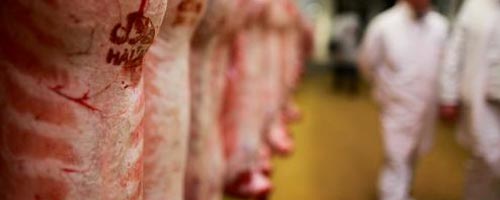 halal-171212-1.jpg