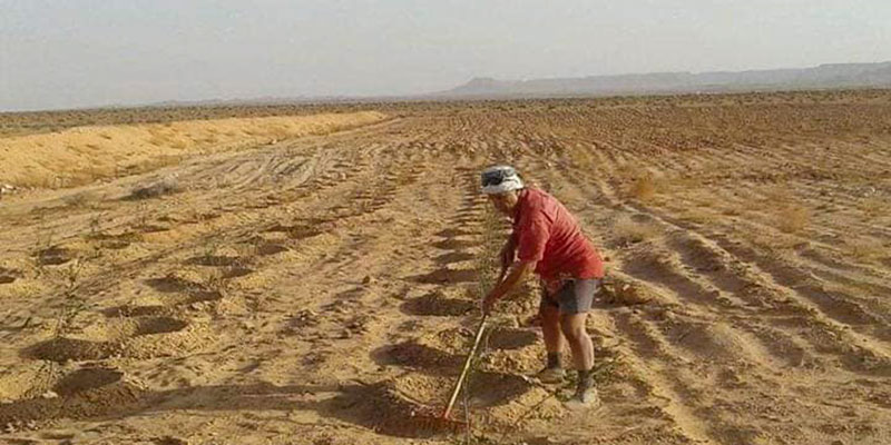 En photos : Hamadi Ben Yahia plante 10 mille arbres à Tataouine