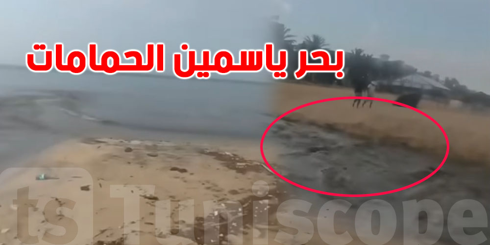 شنّوة صاير في ''ياسمين الحمامات''؟ توضيح من ديوان التطهير