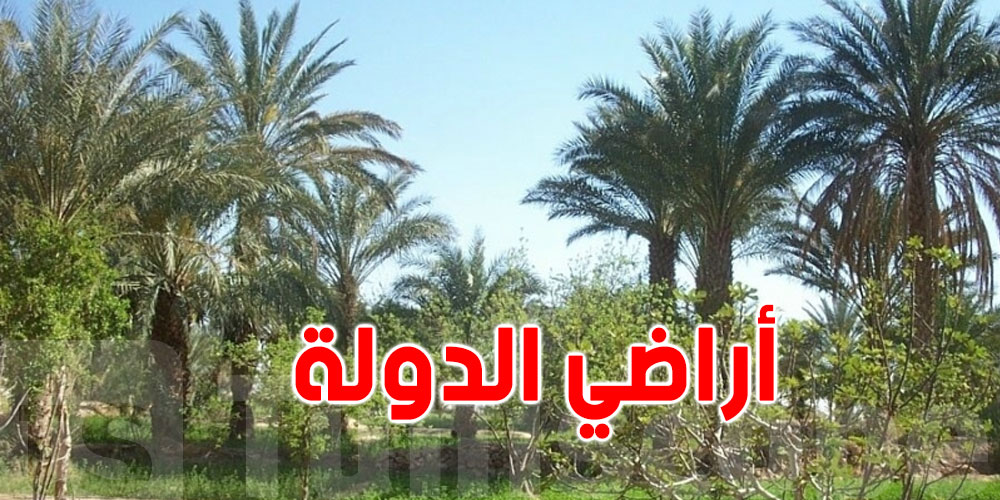 توزر: استرجاع 3 هك من أراضي الدّولة بحامة الجريد