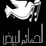‘Ezzine essafi, Lazhar Dhaoui et hamaem el bidh’ au festival de Hammamet : Jeudi 28 Juillet 2011