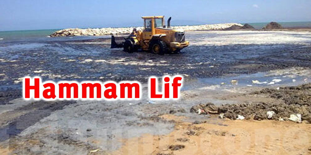 Nettoyage intensif des plages de Hammam Lif