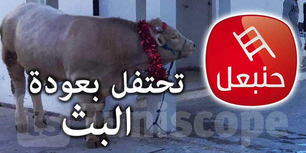 قناة حنبعل تحتفل بعودة البث
